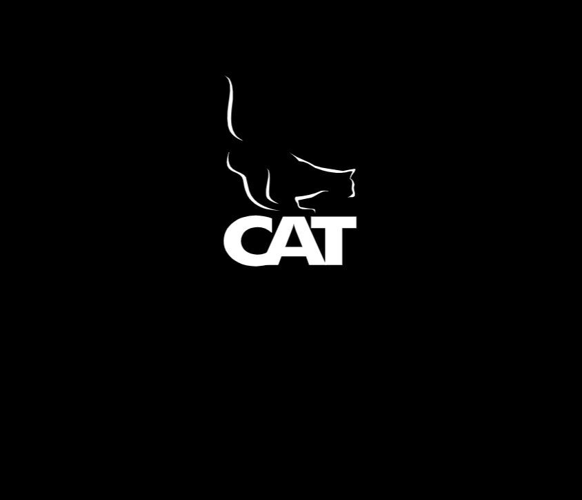 CAT General Presentation